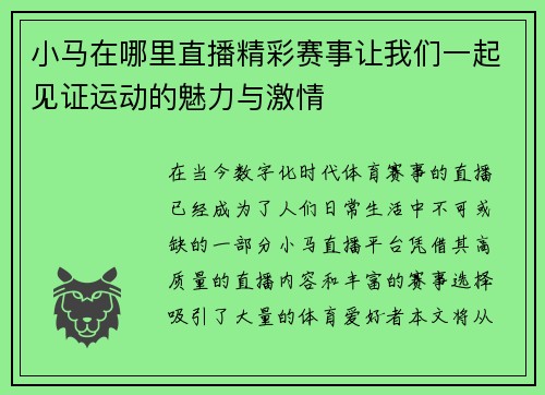 小马在哪里直播精彩赛事让我们一起见证运动的魅力与激情